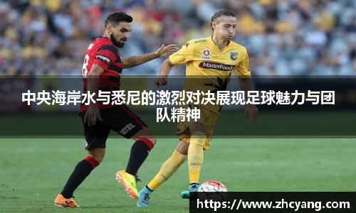 华体会hth首页