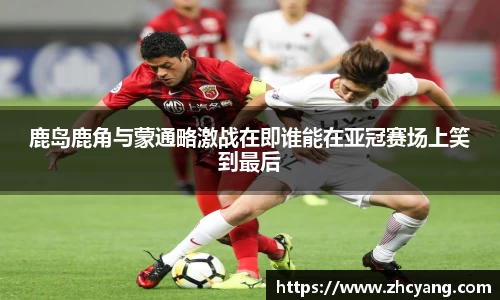 华体会hth体育中国