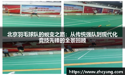 华体会hth体育登录