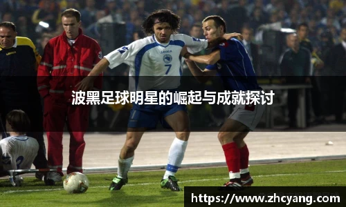 波黑足球明星的崛起与成就探讨