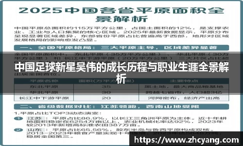 中国足球新星吴伟的成长历程与职业生涯全景解析