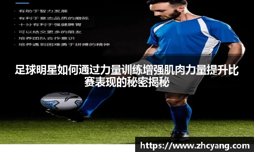 华体会hth体育登录